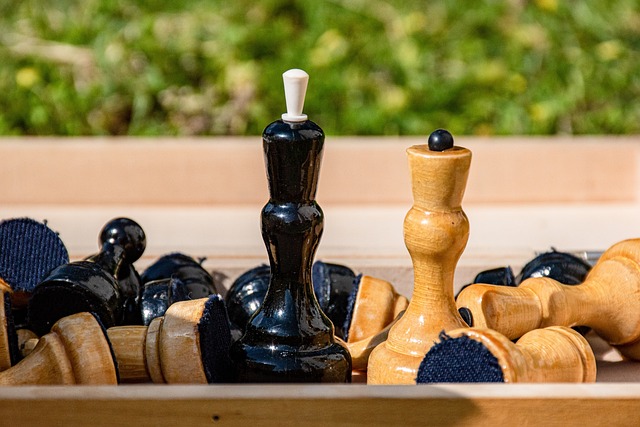 能力的新秀 能力的新秀