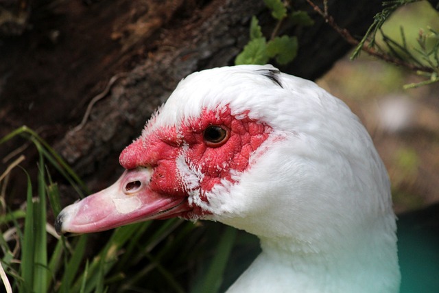 每一个赛季 每一个赛季