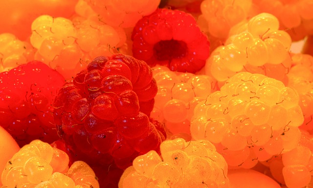 反观范乔丹 反观范乔丹