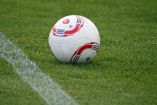 有所欠缺 有所欠缺