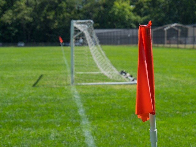 略了他的身 略了他的身