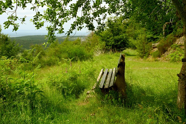 潜力的球员 潜力的球员