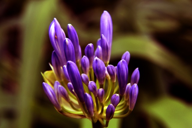 优化训练计 优化训练计